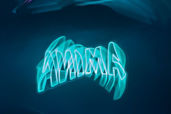 Avec Anima: Old Senior Race Day — photo 3
