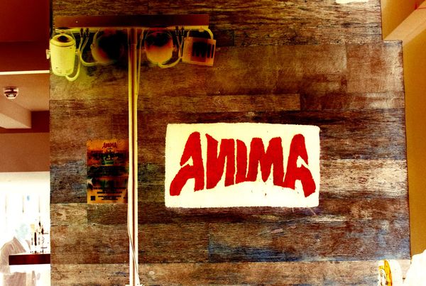 Avec Anima: One Bomb — photo 14