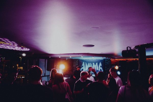 Avec Anima: Sounds Of Summer — photo 6